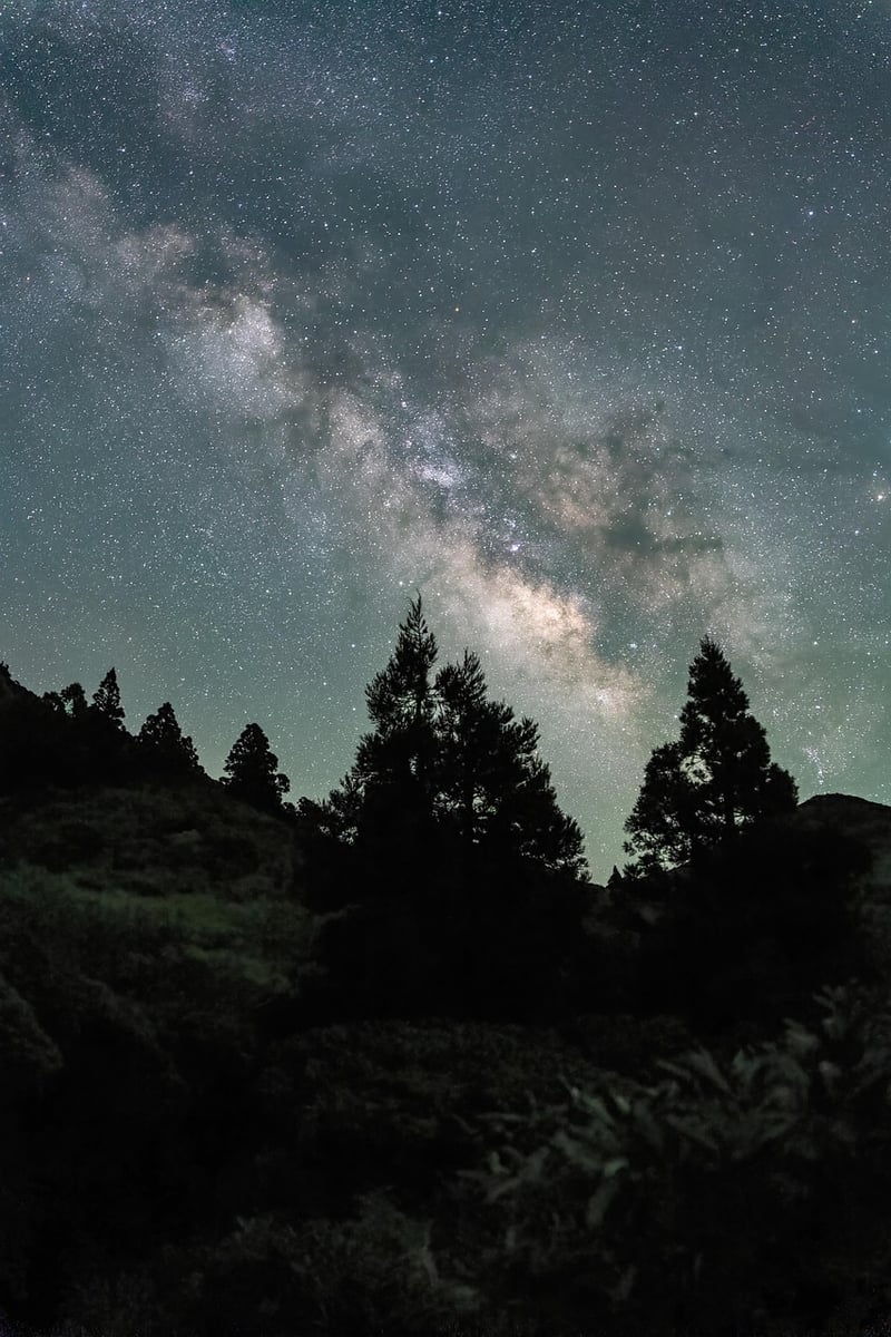 Milky Way over garden